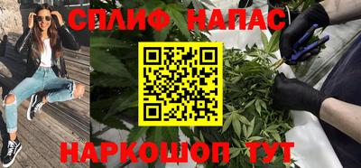 гашик Дубна
