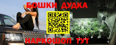 гашик Дубна