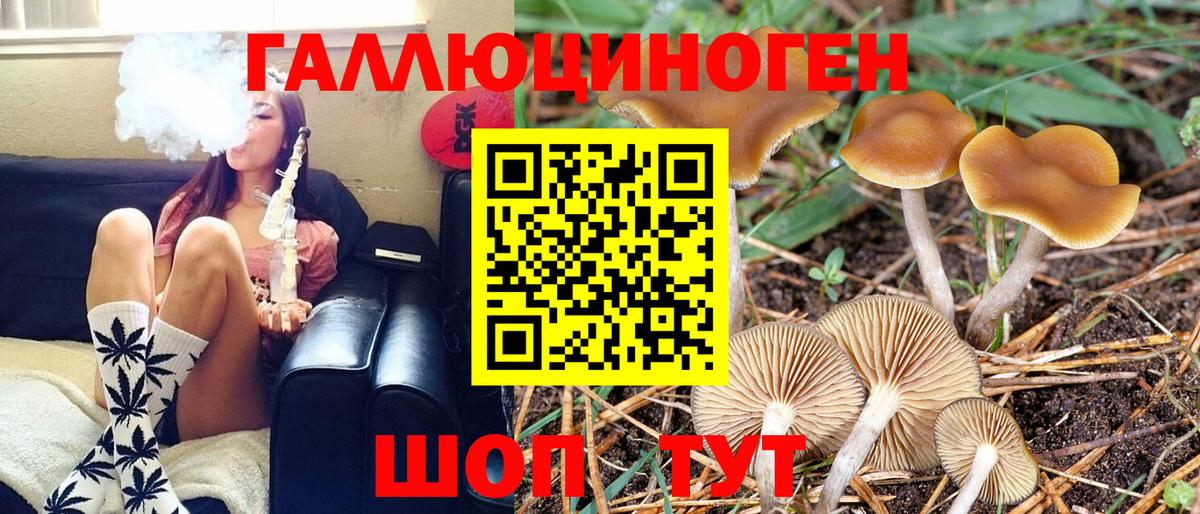 Псилоцибиновые грибы Psilocybe  Галлюциногенные грибы мицелий  Вход с VPN  Назрань 