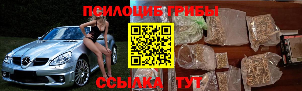 Галлюциногенные грибы Psilocybine cubensis Назрань