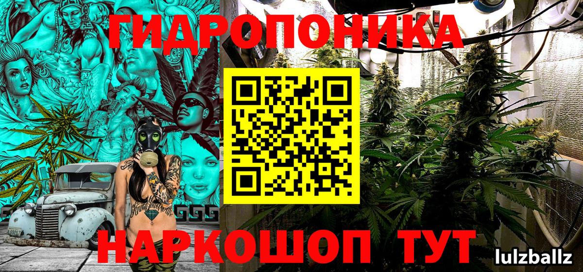 Назрань  Бошки марихуана план  Вход с VPN  Каннабис индика  Конопля Ganja 
